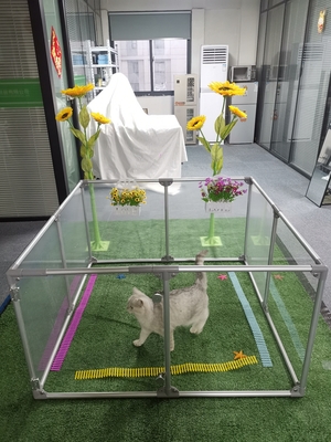 12 패널 가시적인 울타리 애완 동물 아크릴 개 놀이장 육류를 위한 맞춤형 두께 3mm