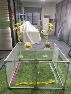 12 패널 가시적인 울타리 애완 동물 아크릴 개 놀이장 육류를 위한 맞춤형 두께 3mm