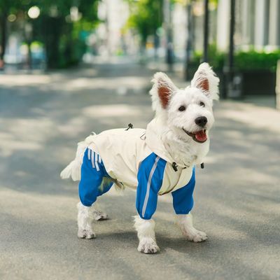코트 작은 동물을위한 재킷 가을 시즌 S-XL 크기의 애완 동물 비 코트