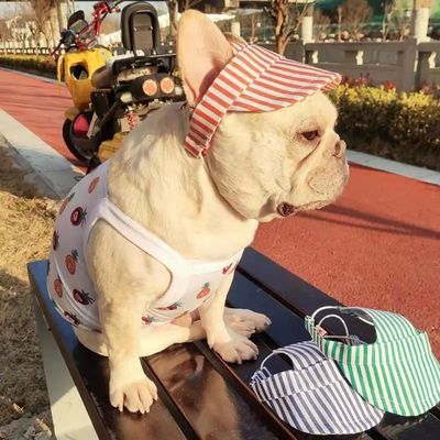 패션 애완 동물 로고 모자 애완 동물 인기 모자 끝 개 강아지 모자 인기 작은 개 귀여운 액세서리