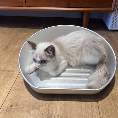 우리의 냉각 고양이 냄비 OEM ODM 알루미늄 용기와 함께 이번 여름에 시원하게 유지