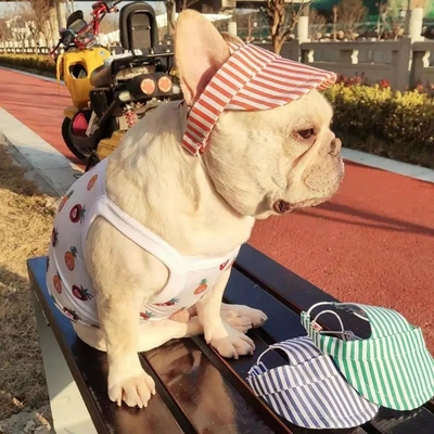 줄무늬 강아지 햇빛 모자 조정 가능한 강아지 스포츠 모자 강아지 작은 개 목화 애완용 모자