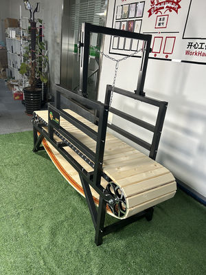 Alipetsmile 버전 2.0 개 트레드밀 중간 개 실내 운동 동반자