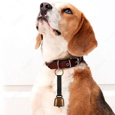 120mm*35mm 야외 캠핑 금속 쿨벨