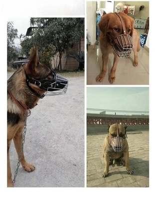 피트불 셰퍼드 소 강아지 리트리버 가죽 15-25kg