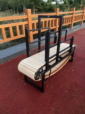 ISO9001 인증과 175cm*52cm*130cm 크기의 전문 애완 동물 훈련 트레드밀