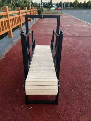 ISO9001 인증과 175cm*52cm*130cm 크기의 전문 애완 동물 훈련 트레드밀